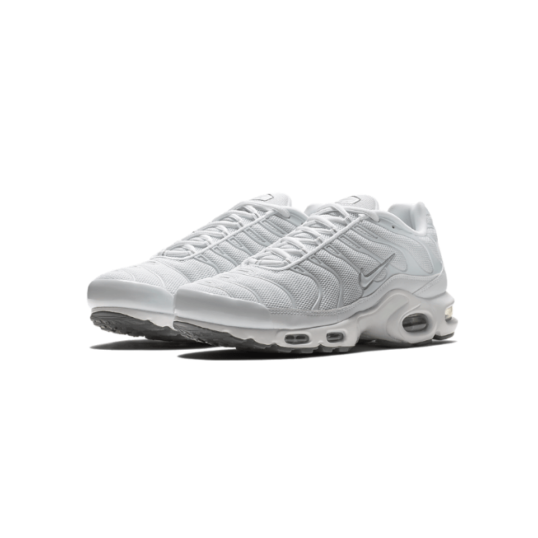 TN WHITE